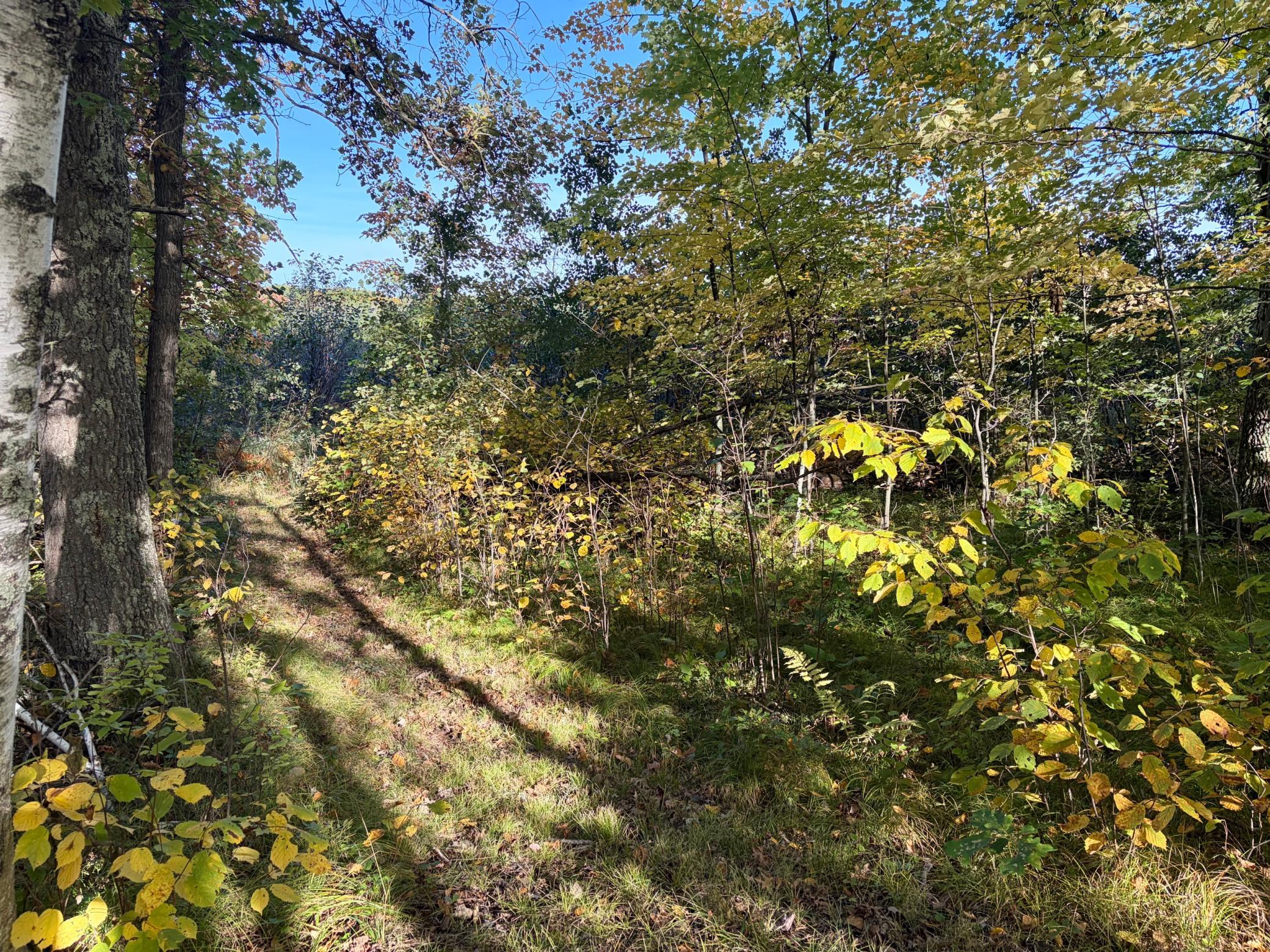 Property photo for TBD 248th Place, Mcgregor, MN 55760