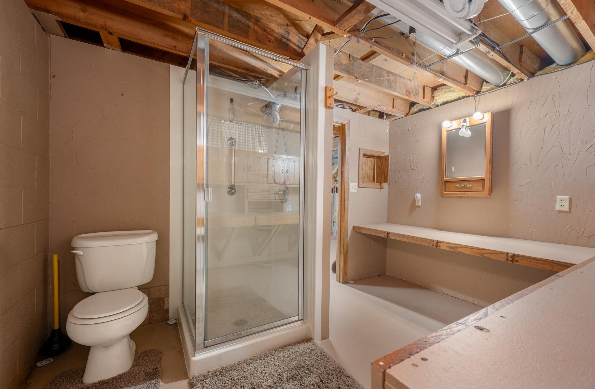 Lower Level Bath
