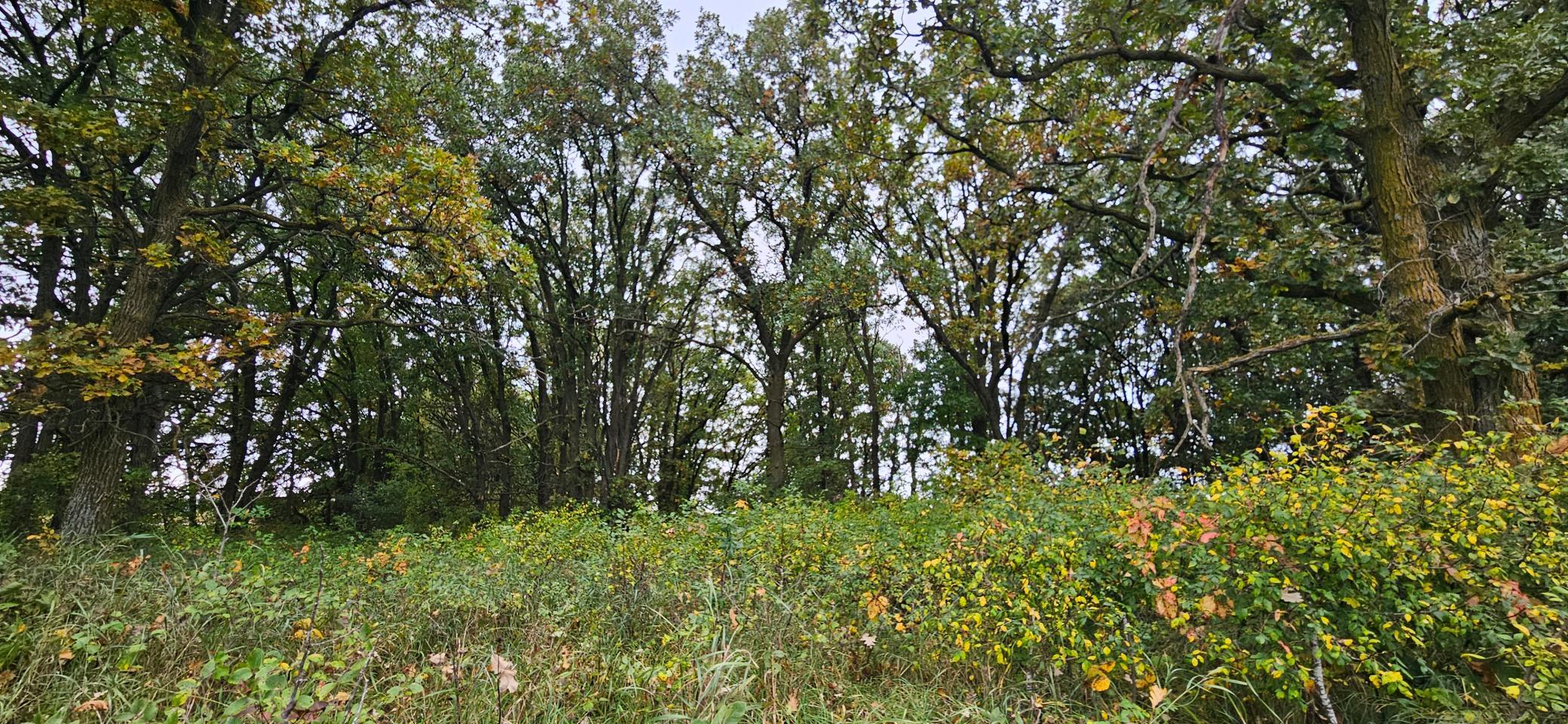 Land 2