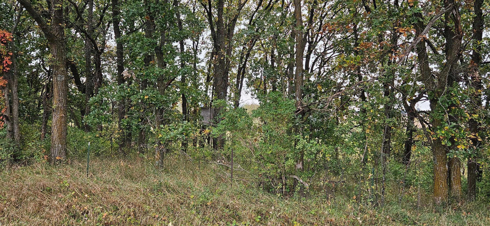 Deer Stand