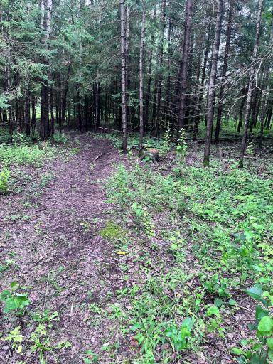 5524 Miller Trunk Highway, Hermantown, MN 55811