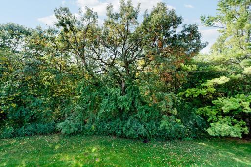 218 River Woods Drive W, Saint Paul Park, MN 55071