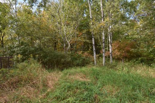 25663 State Road 35, Webster, WI 54893