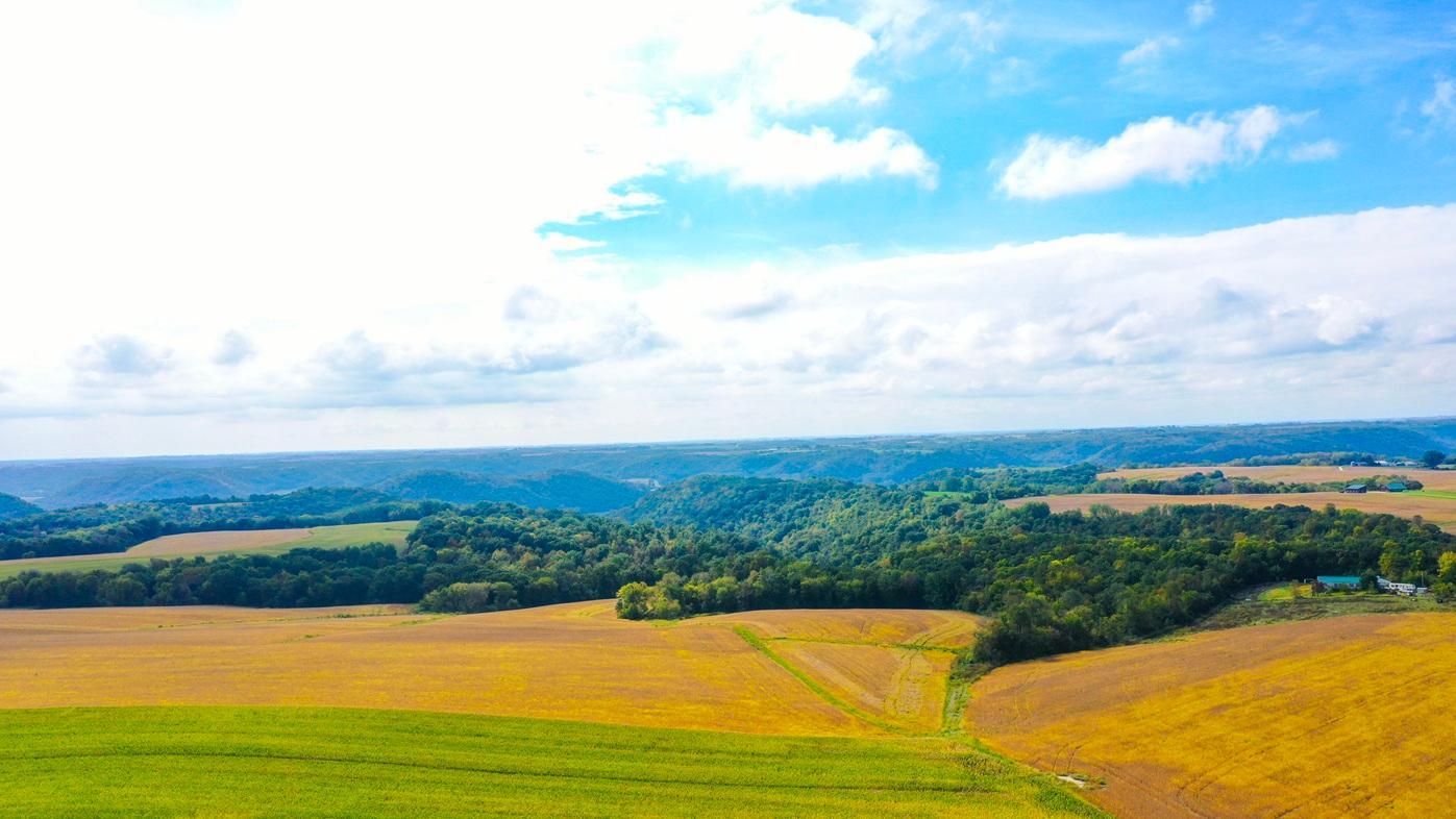 DJI_0358.jpg