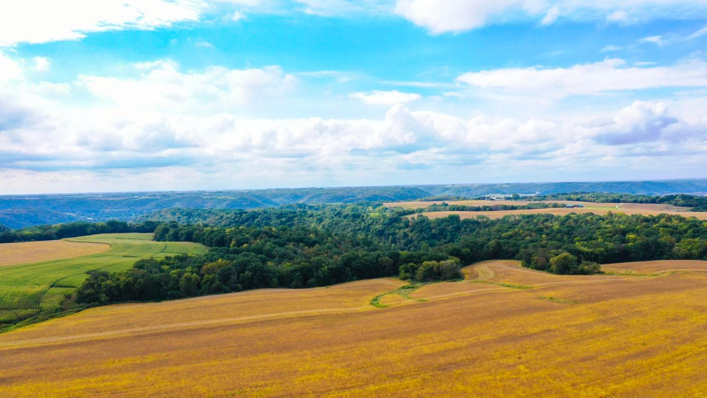 DJI_0388.jpg