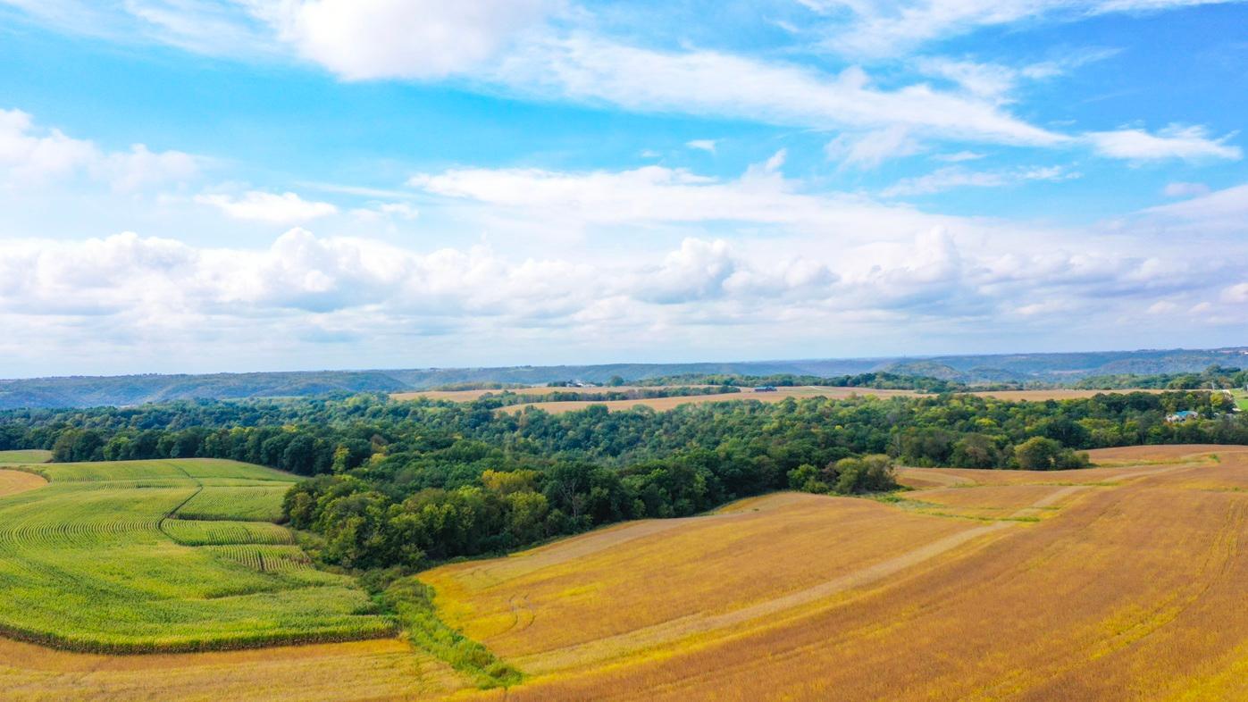 DJI_0385.jpg