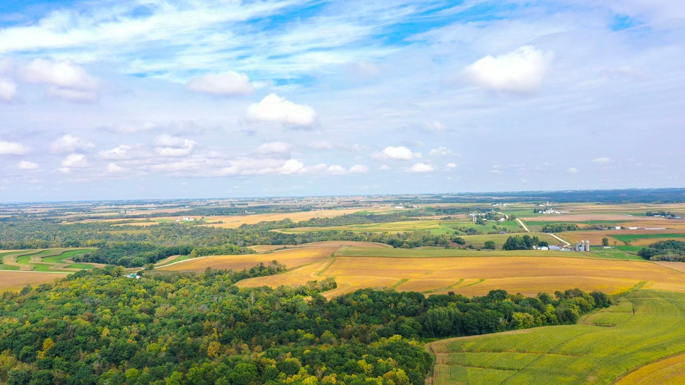 DJI_0371.jpg