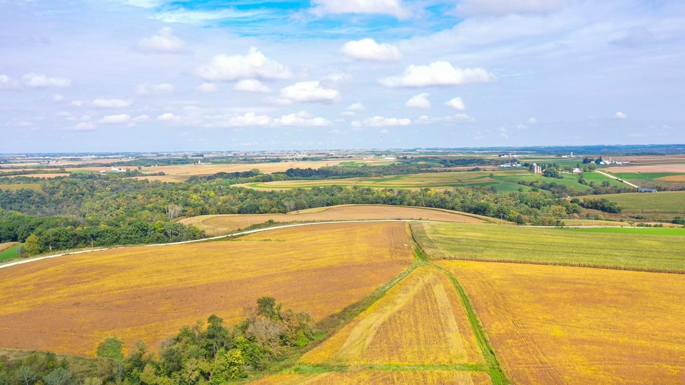 DJI_0364.jpg