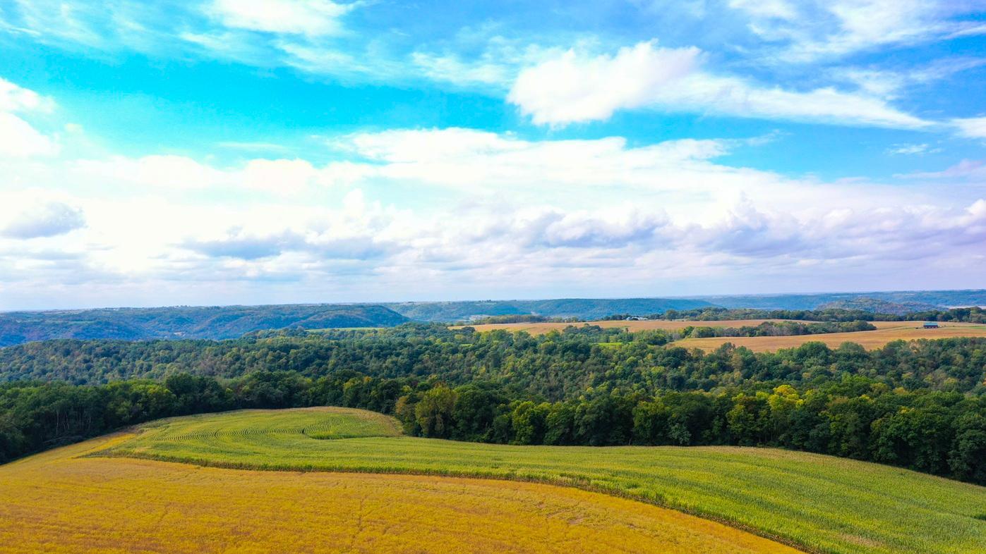 DJI_0379.jpg