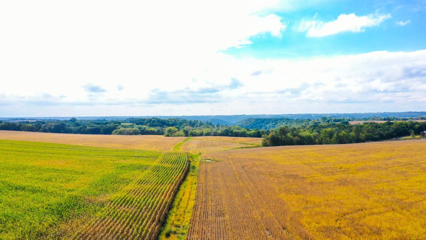 DJI_0356.jpg
