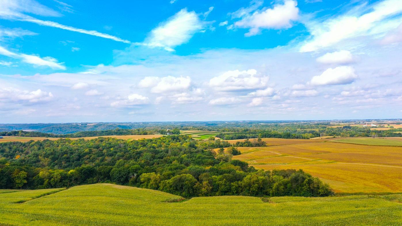 DJI_0381.jpg