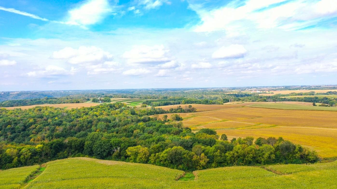 Property photo for TBD Dump Hill, Rushford, MN 55971