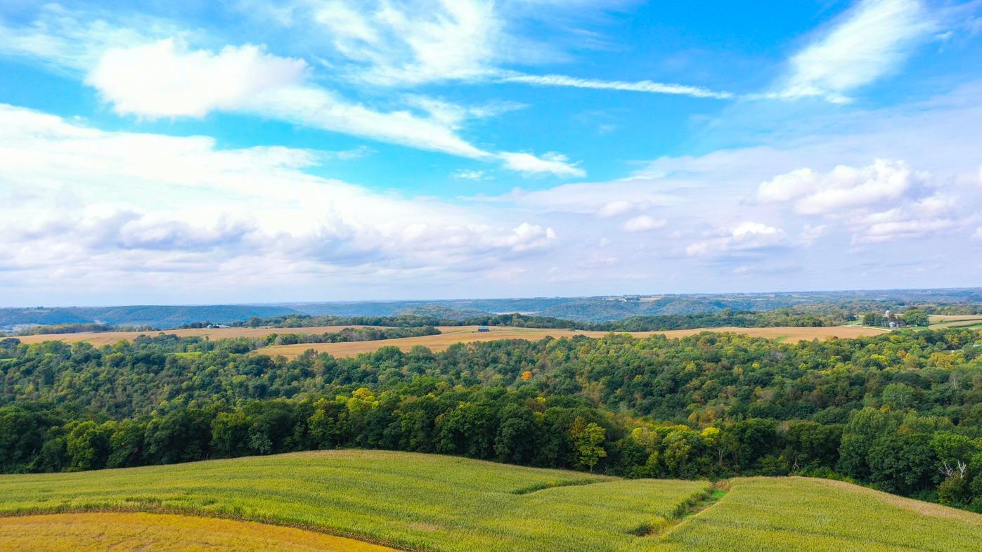 DJI_0380.jpg