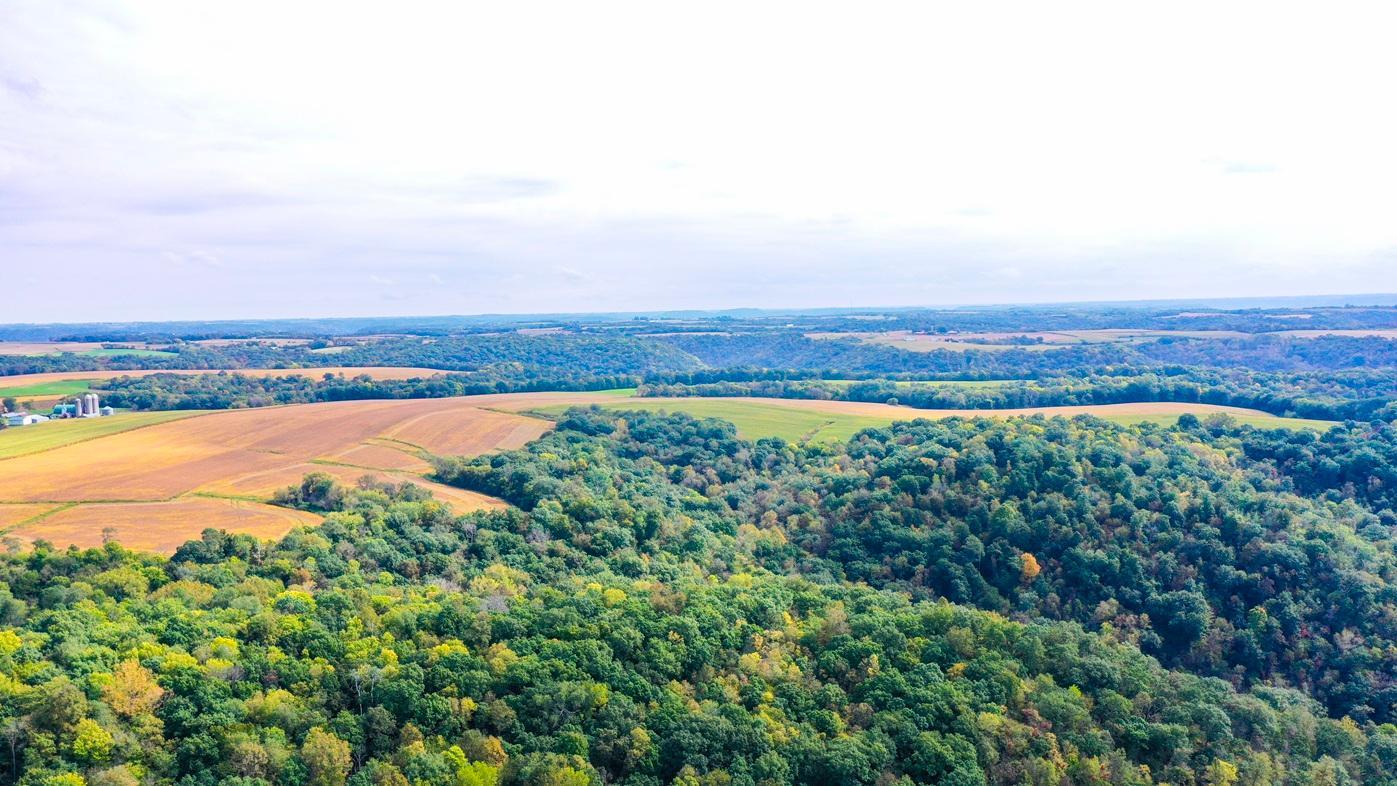DJI_0365.jpg