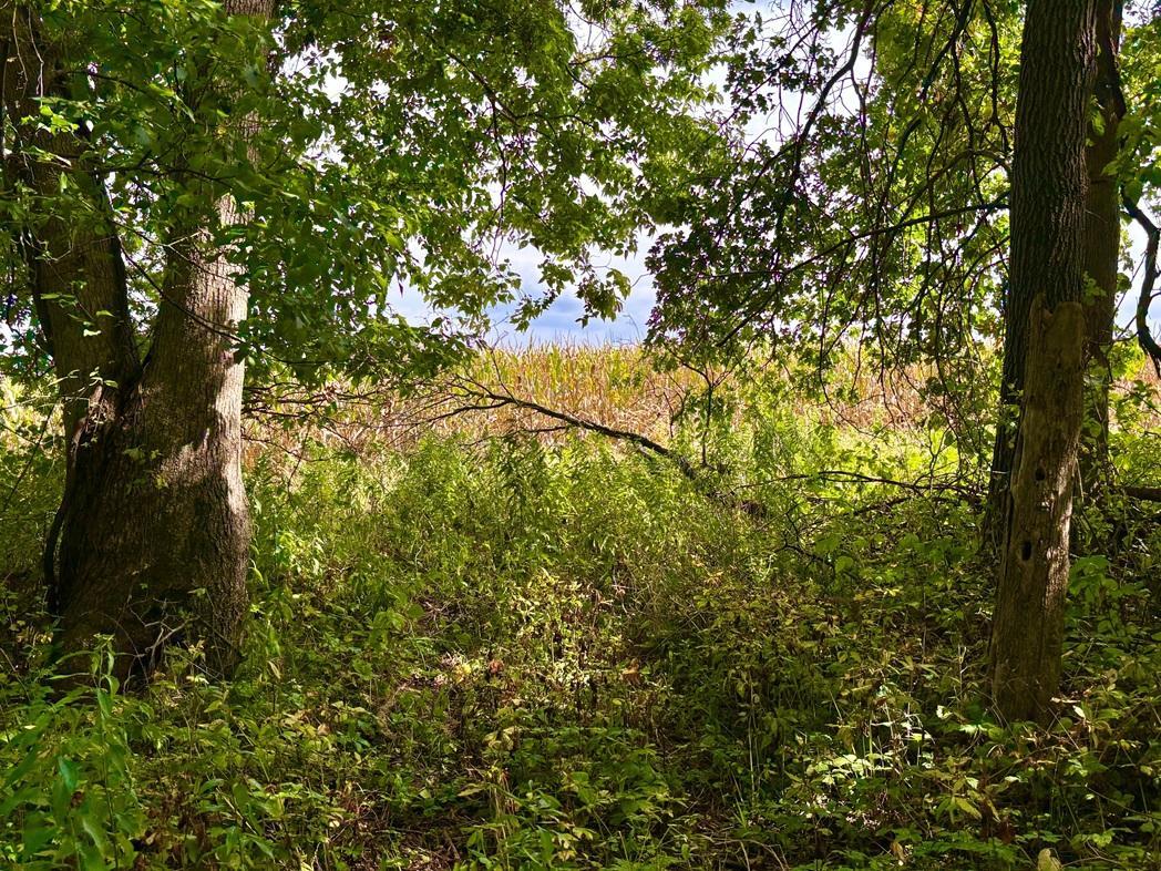 f34.jpg