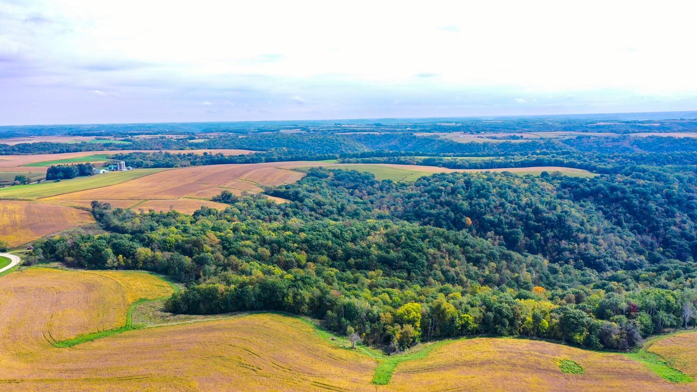 DJI_0366.jpg