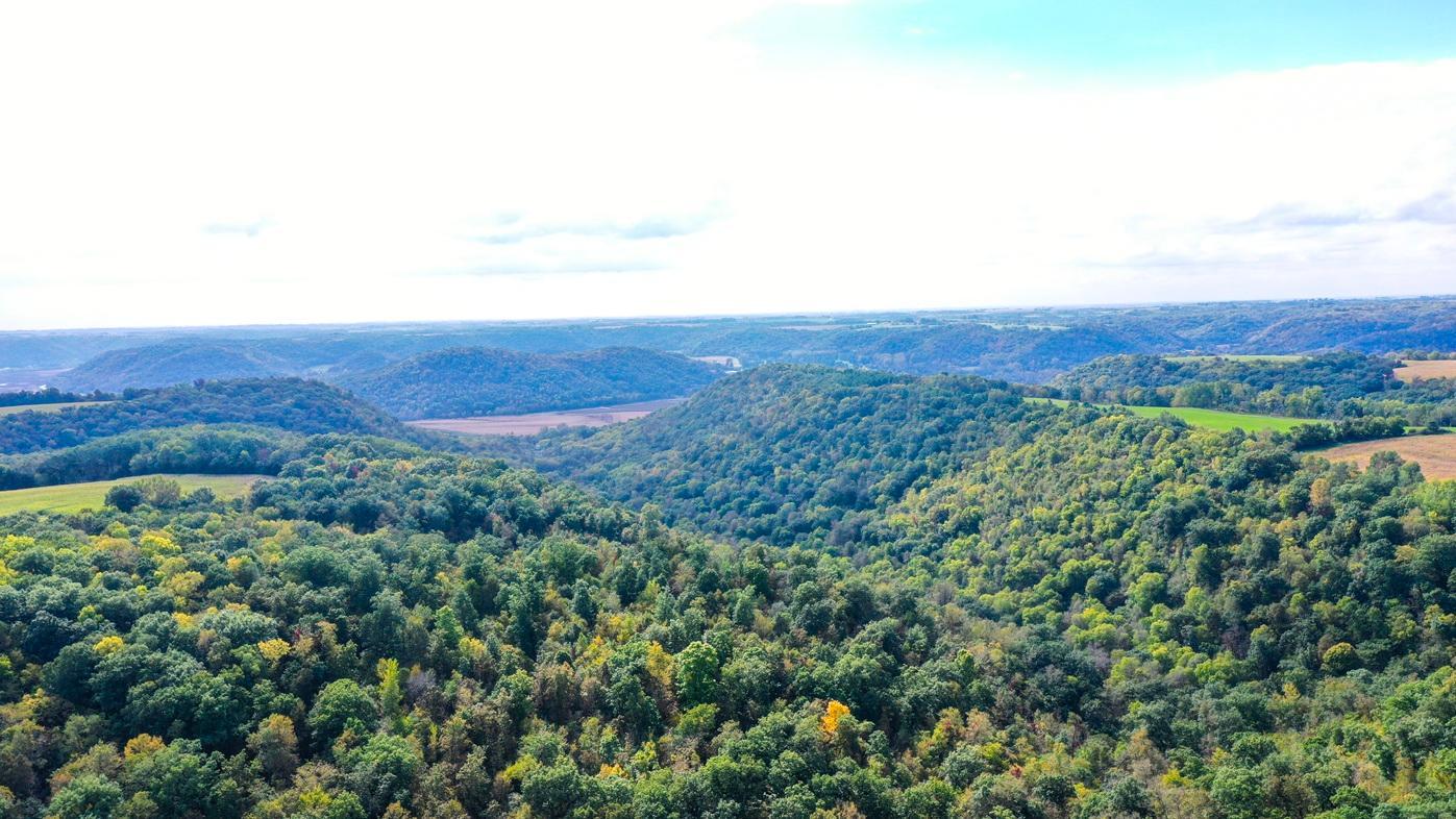 DJI_0363.jpg