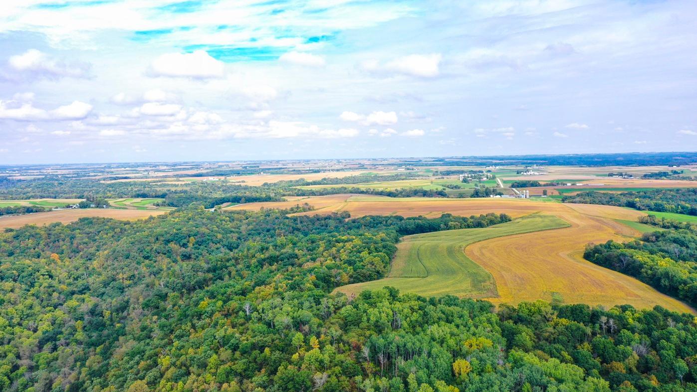 DJI_0373.jpg