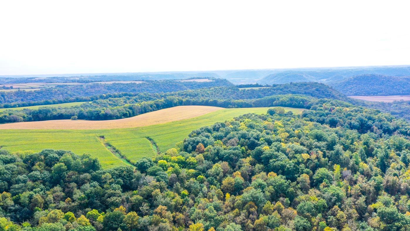 DJI_0362.jpg