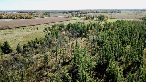40939 Cr-75, Bertha, MN 56437