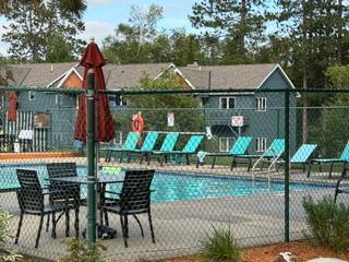 6266 Giants Ridge Road #403, Biwabik, MN 55705