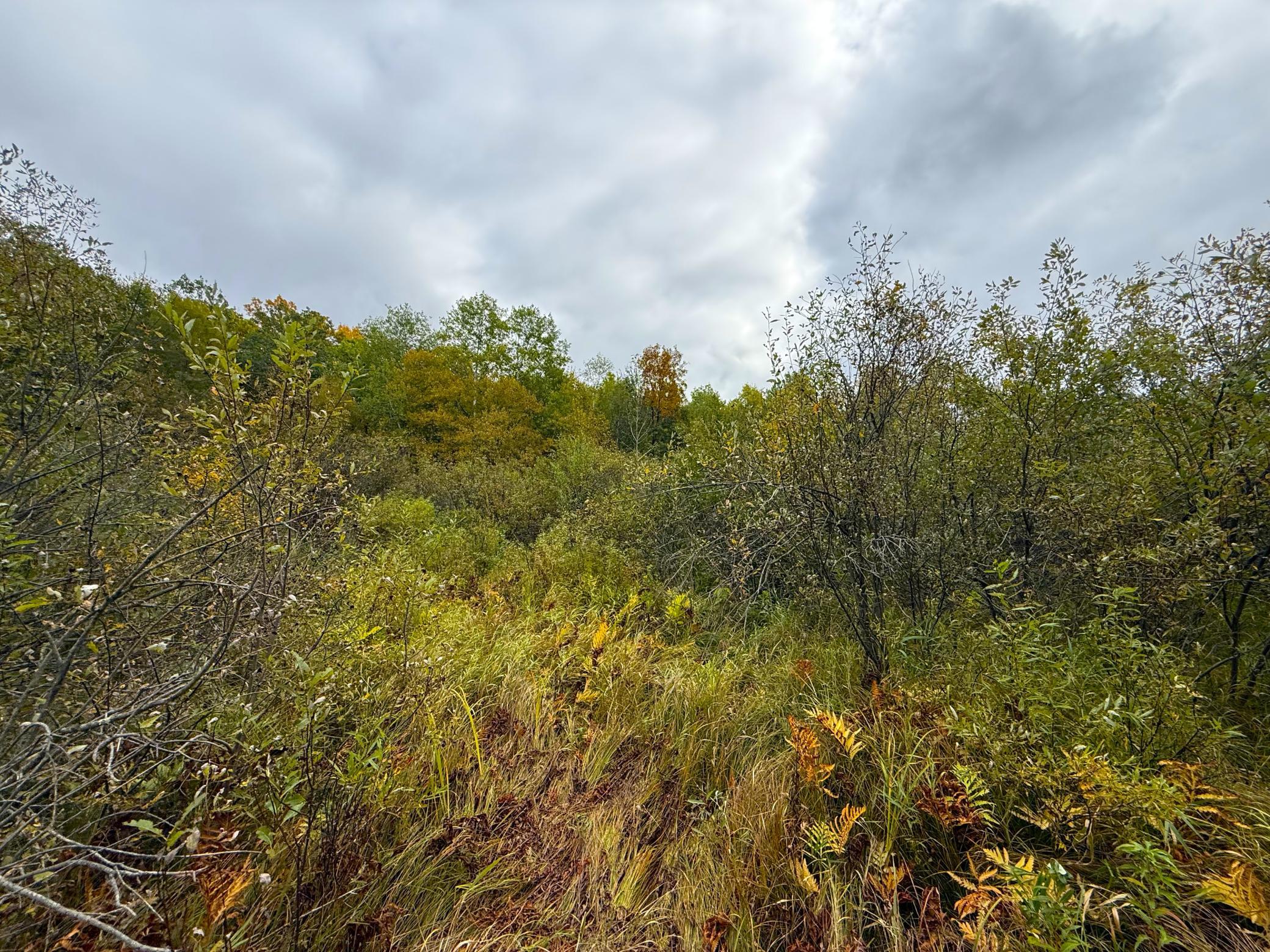 IMG_6422.JPG