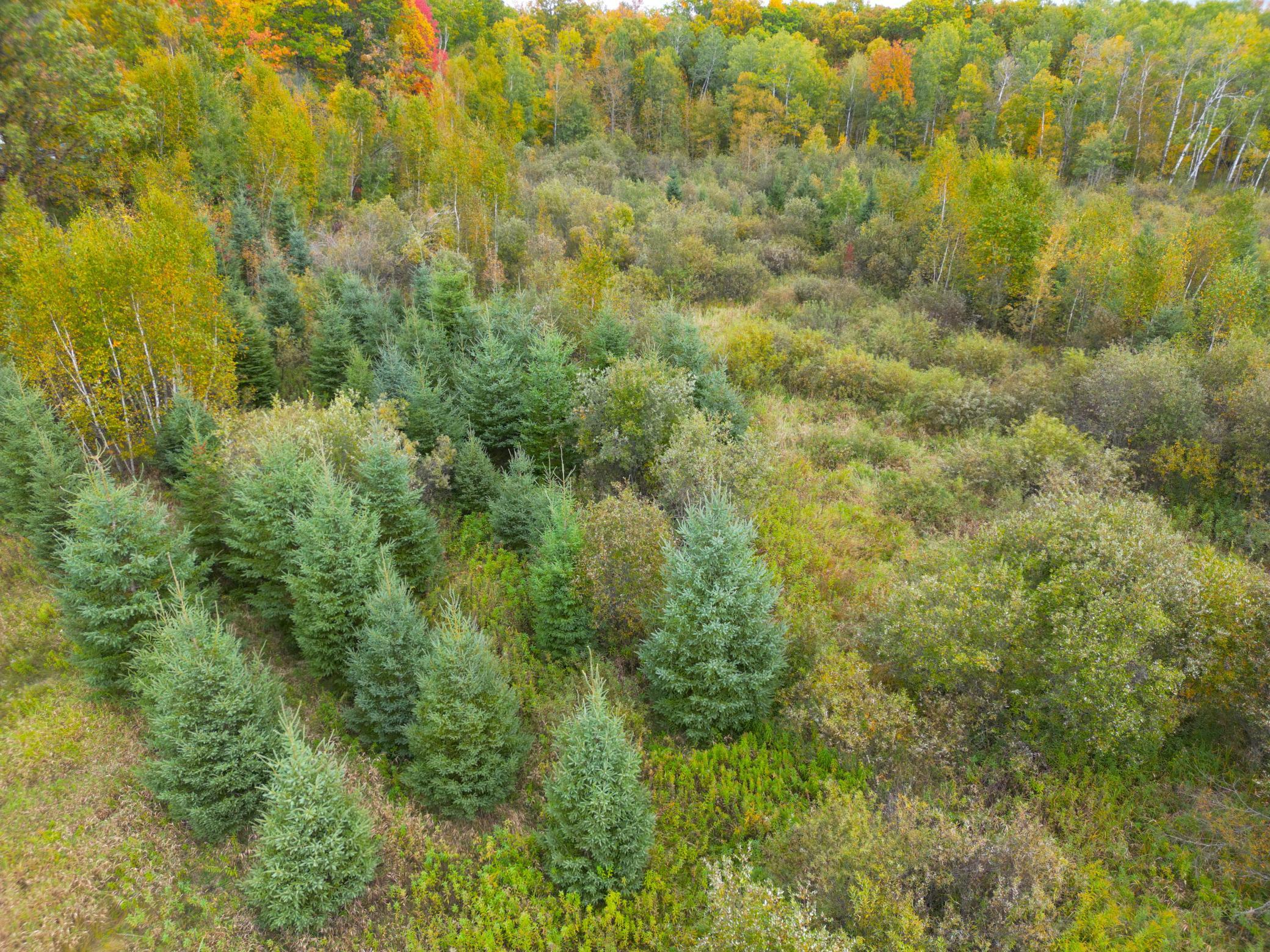 DJI_0352.JPG