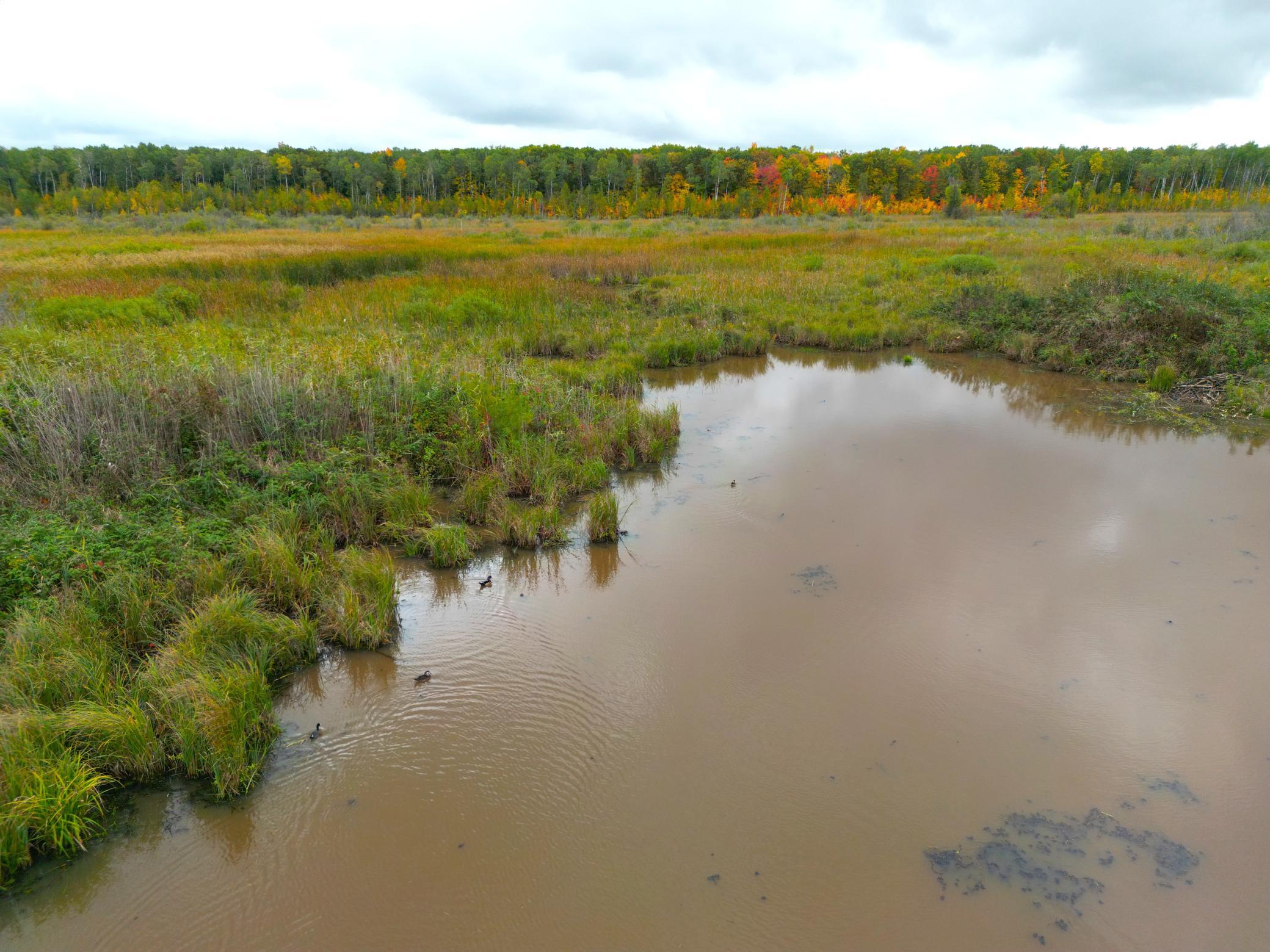 DJI_0327.JPG