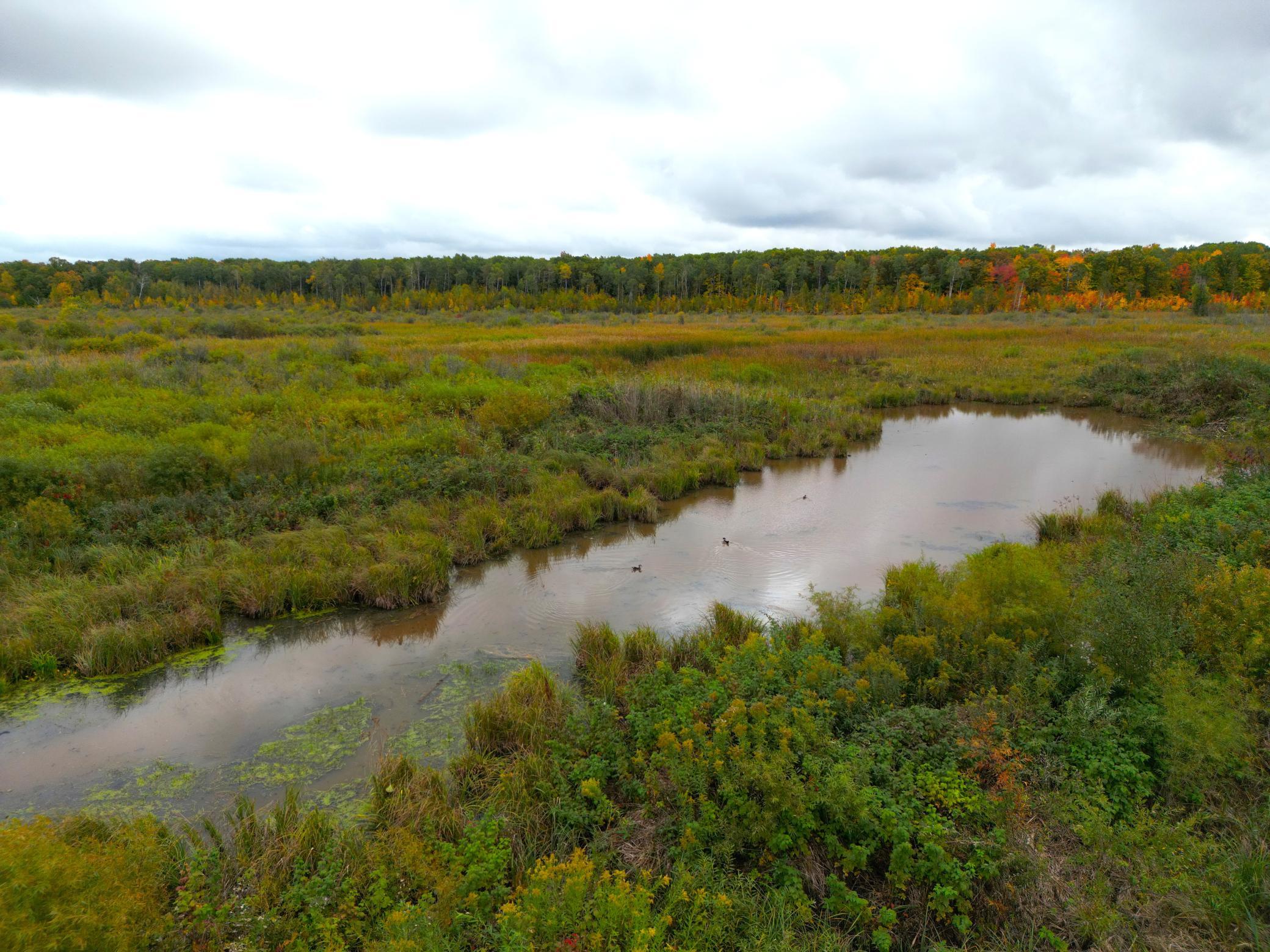 DJI_0325.JPG