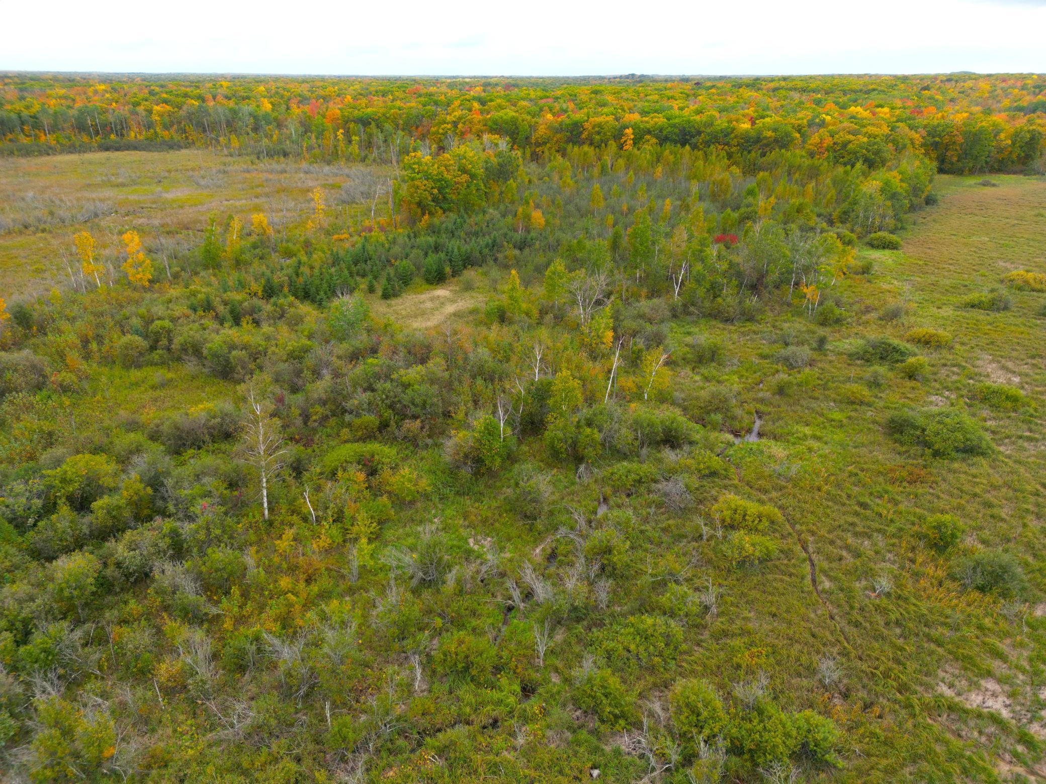 DJI_0328.JPG
