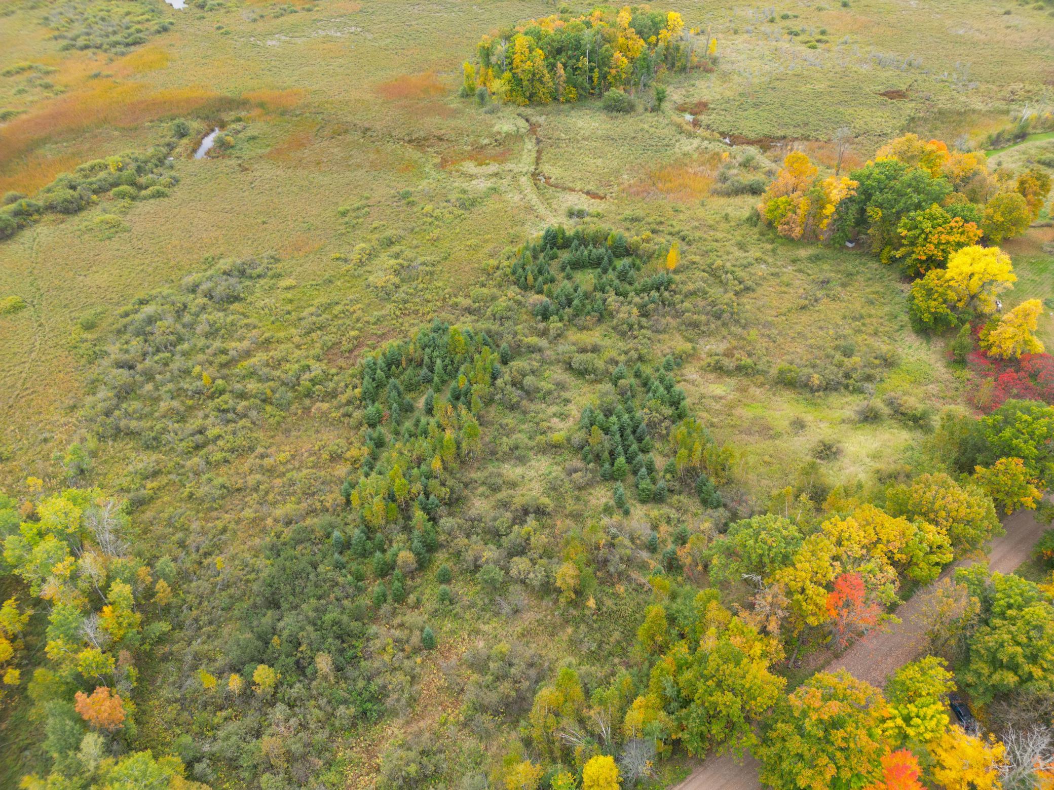 DJI_0321.JPG