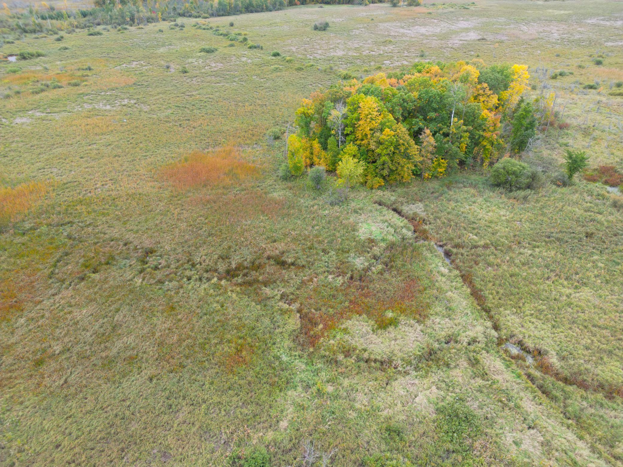 DJI_0323.JPG