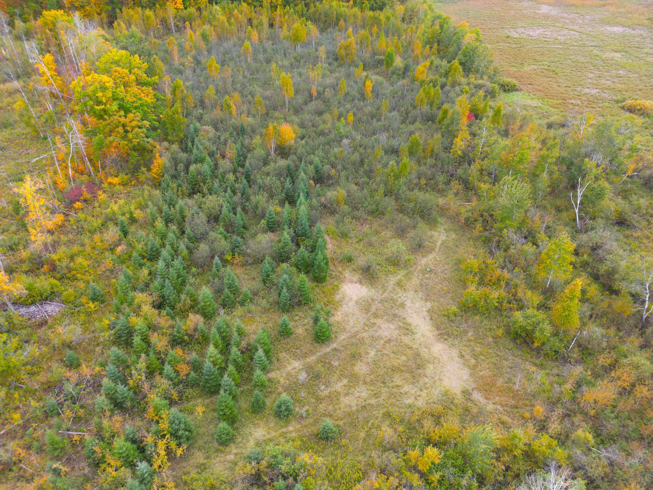 DJI_0330.JPG