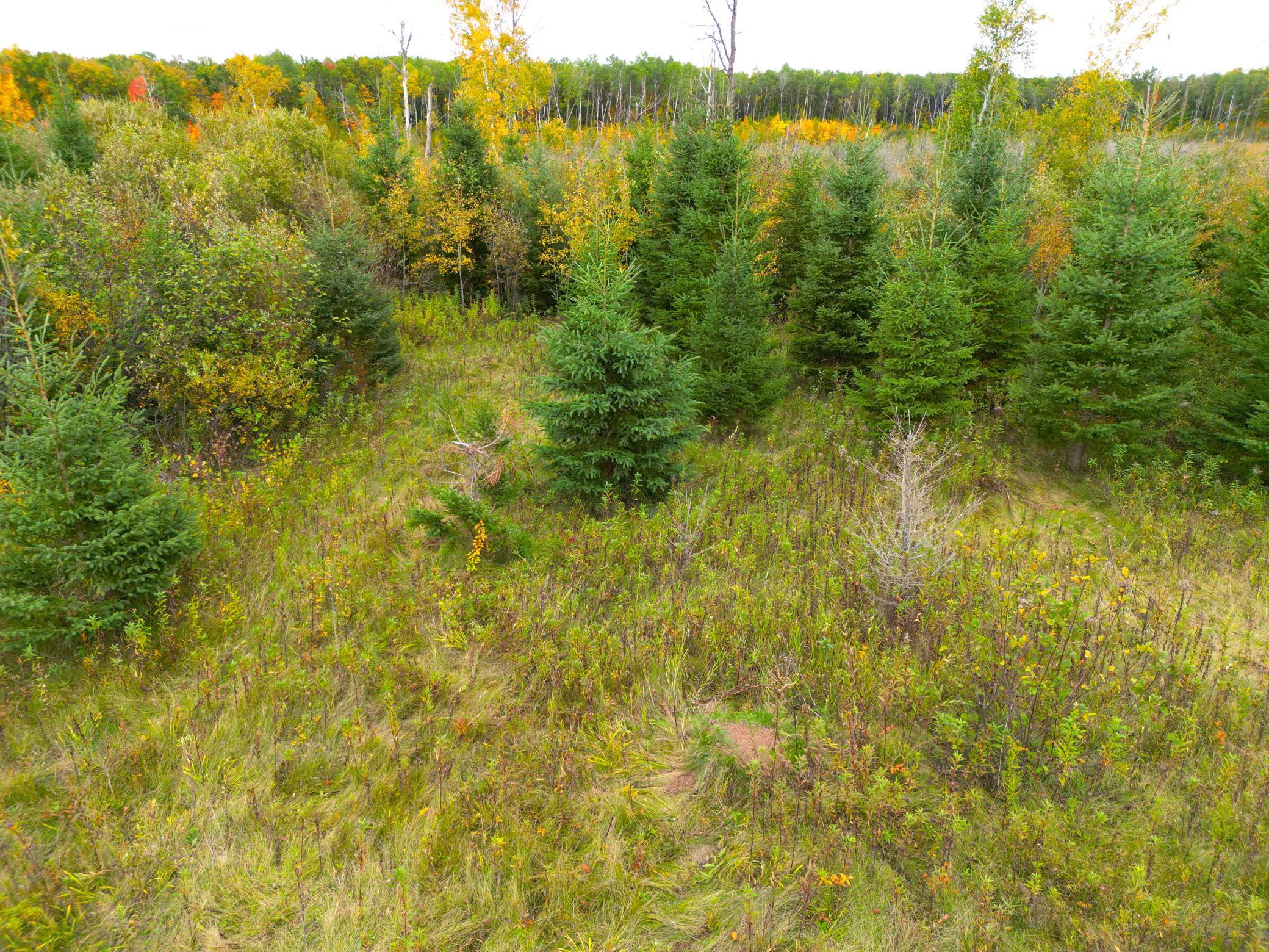 DJI_0331.JPG
