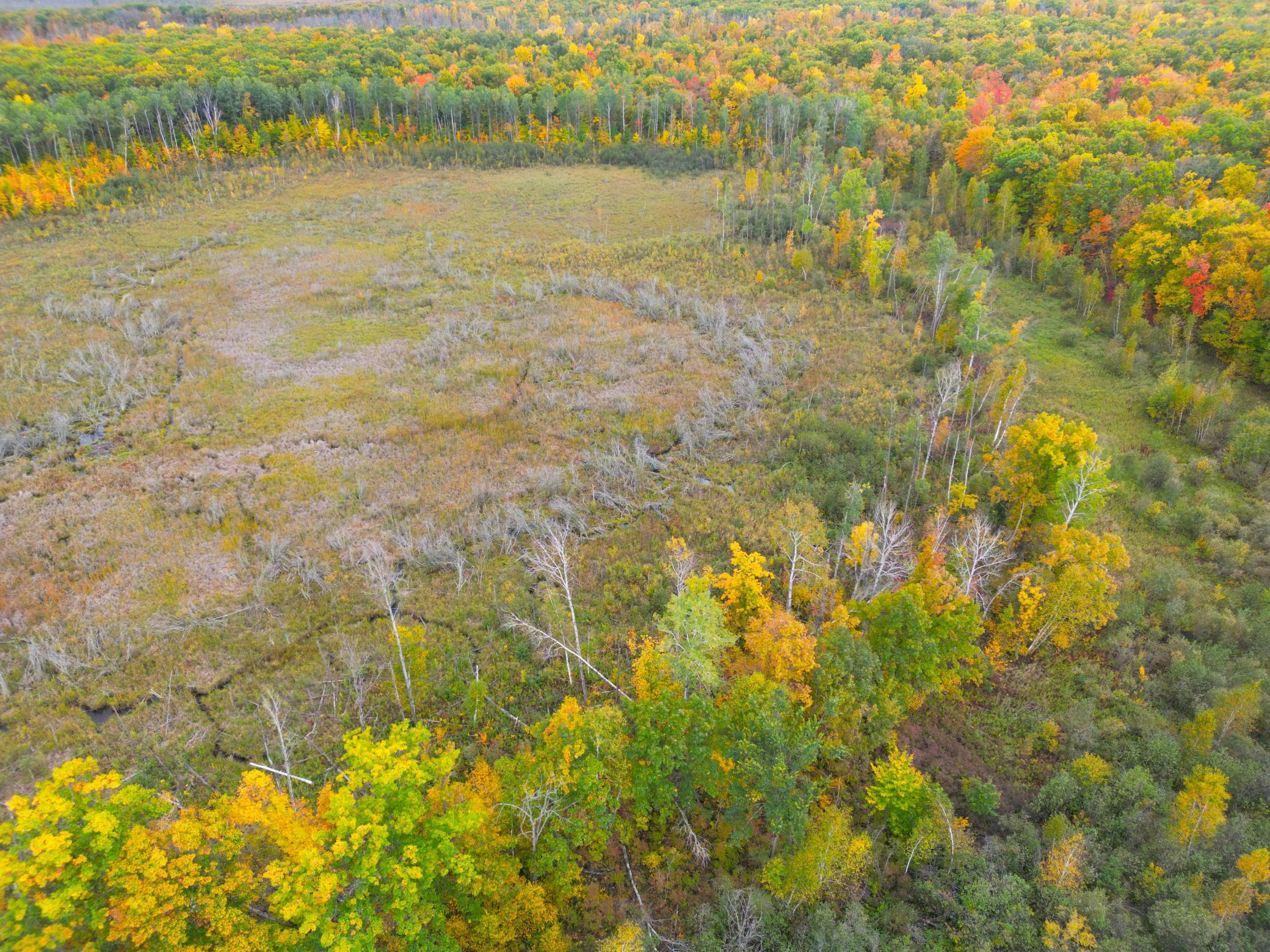 DJI_0335.JPG