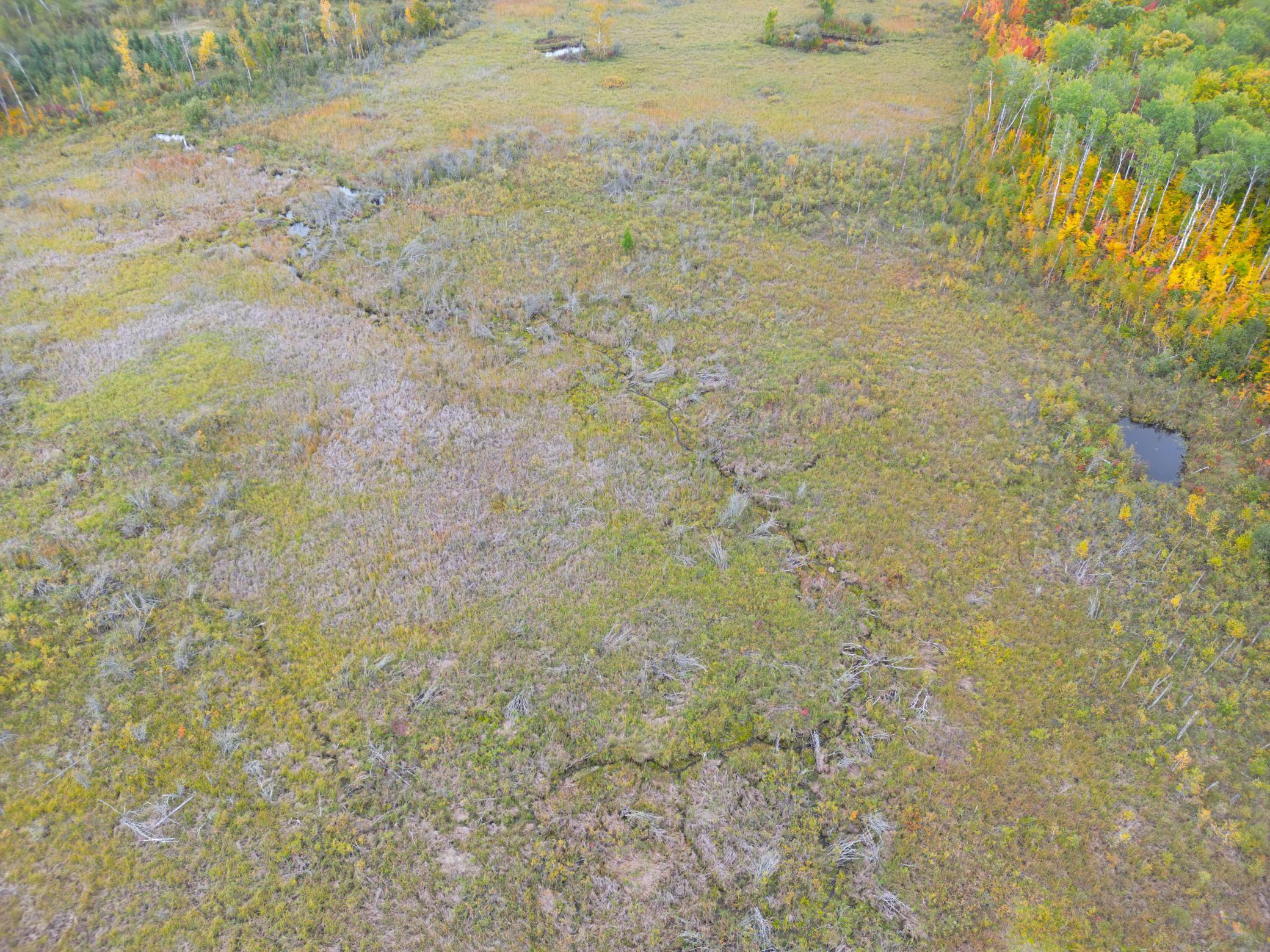 DJI_0340.JPG