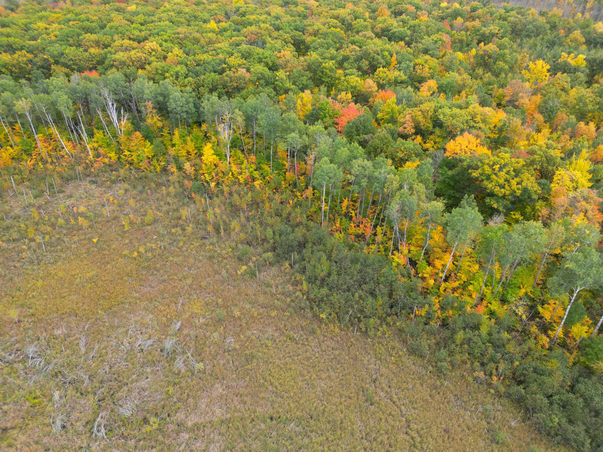 DJI_0339.JPG