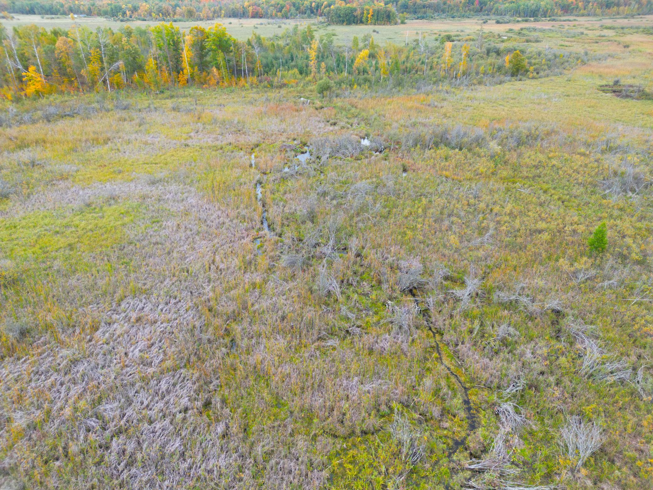 DJI_0341.JPG