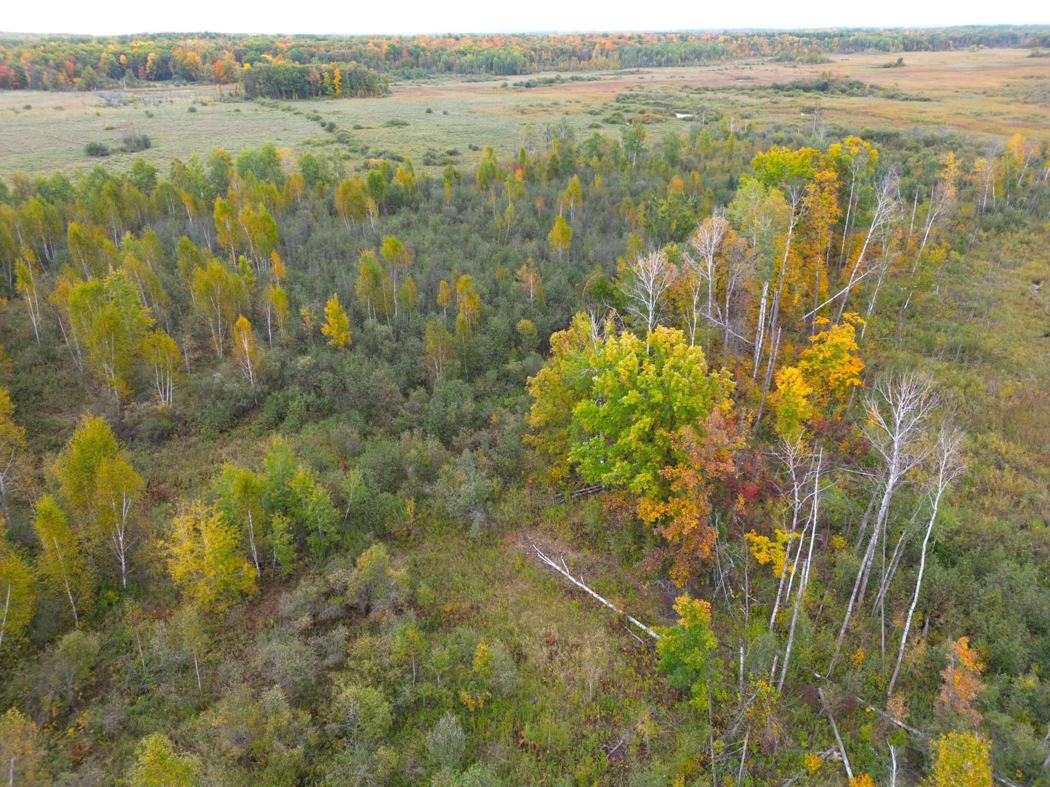 DJI_0337.JPG