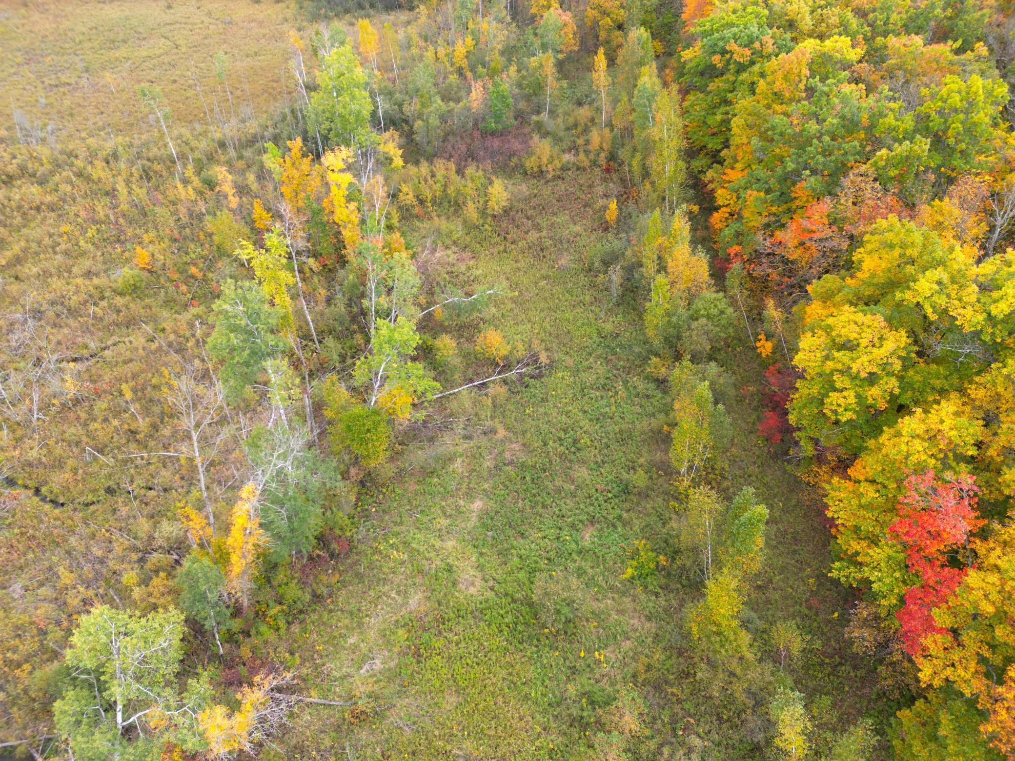 DJI_0336.JPG