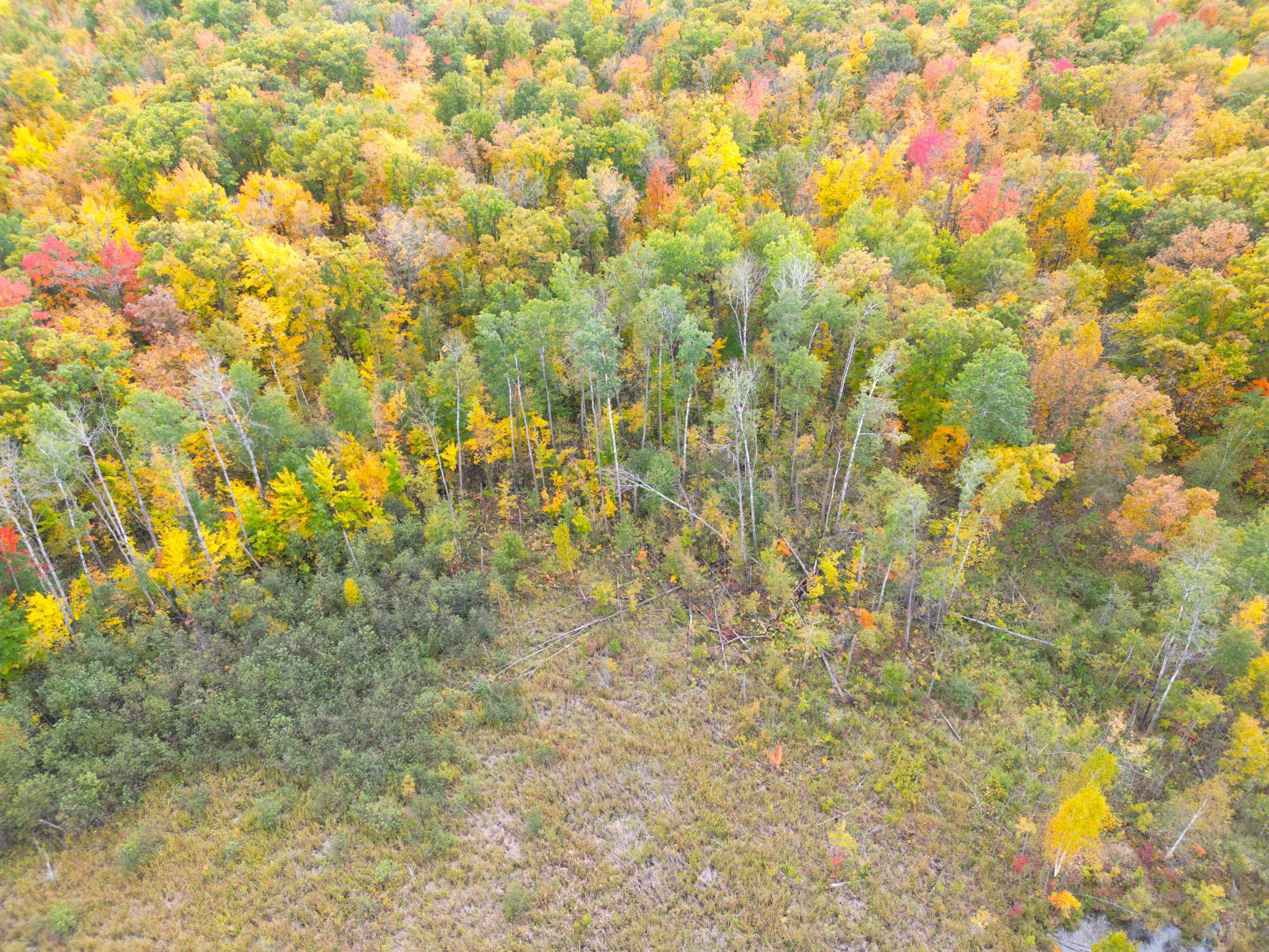 DJI_0338.JPG