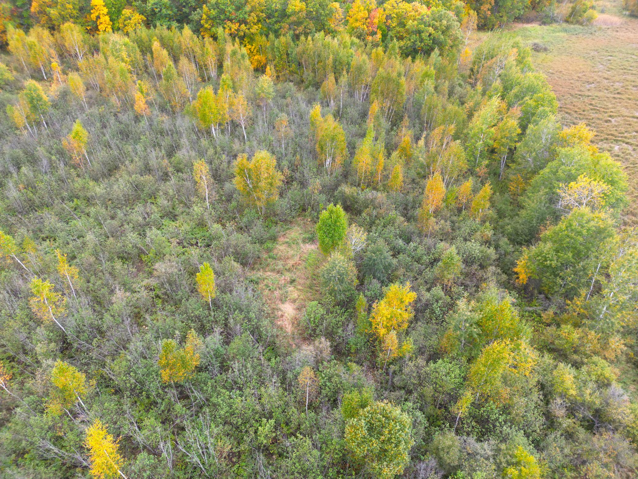 DJI_0334.JPG