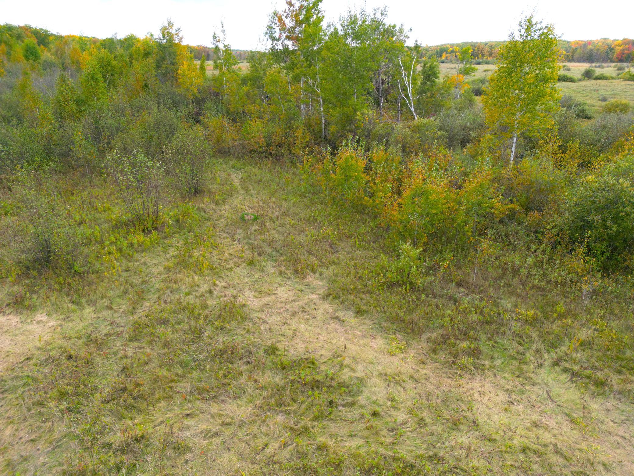 DJI_0333.JPG