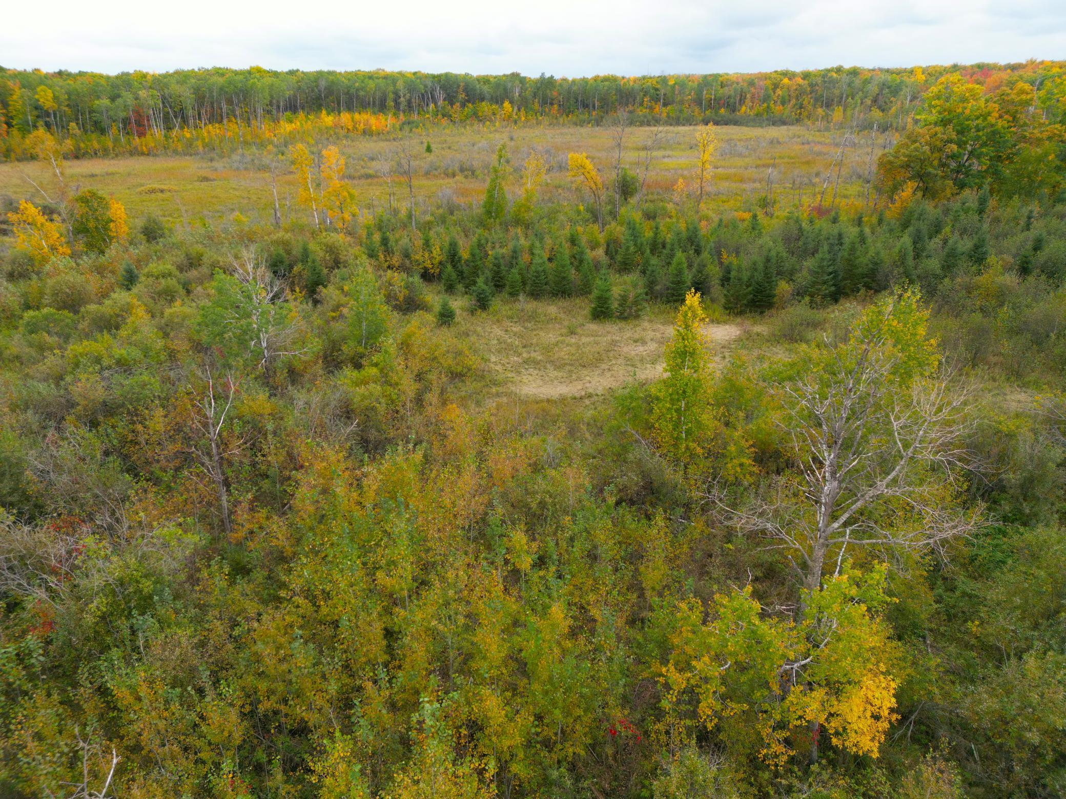 DJI_0348.JPG
