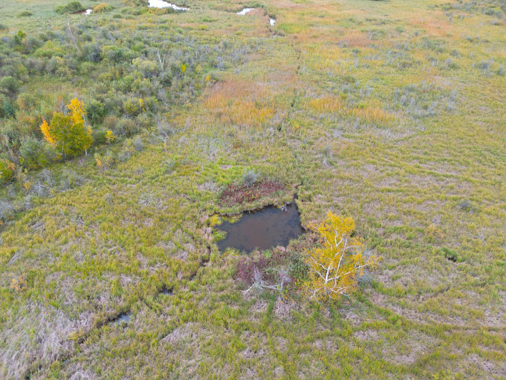 DJI_0342.JPG