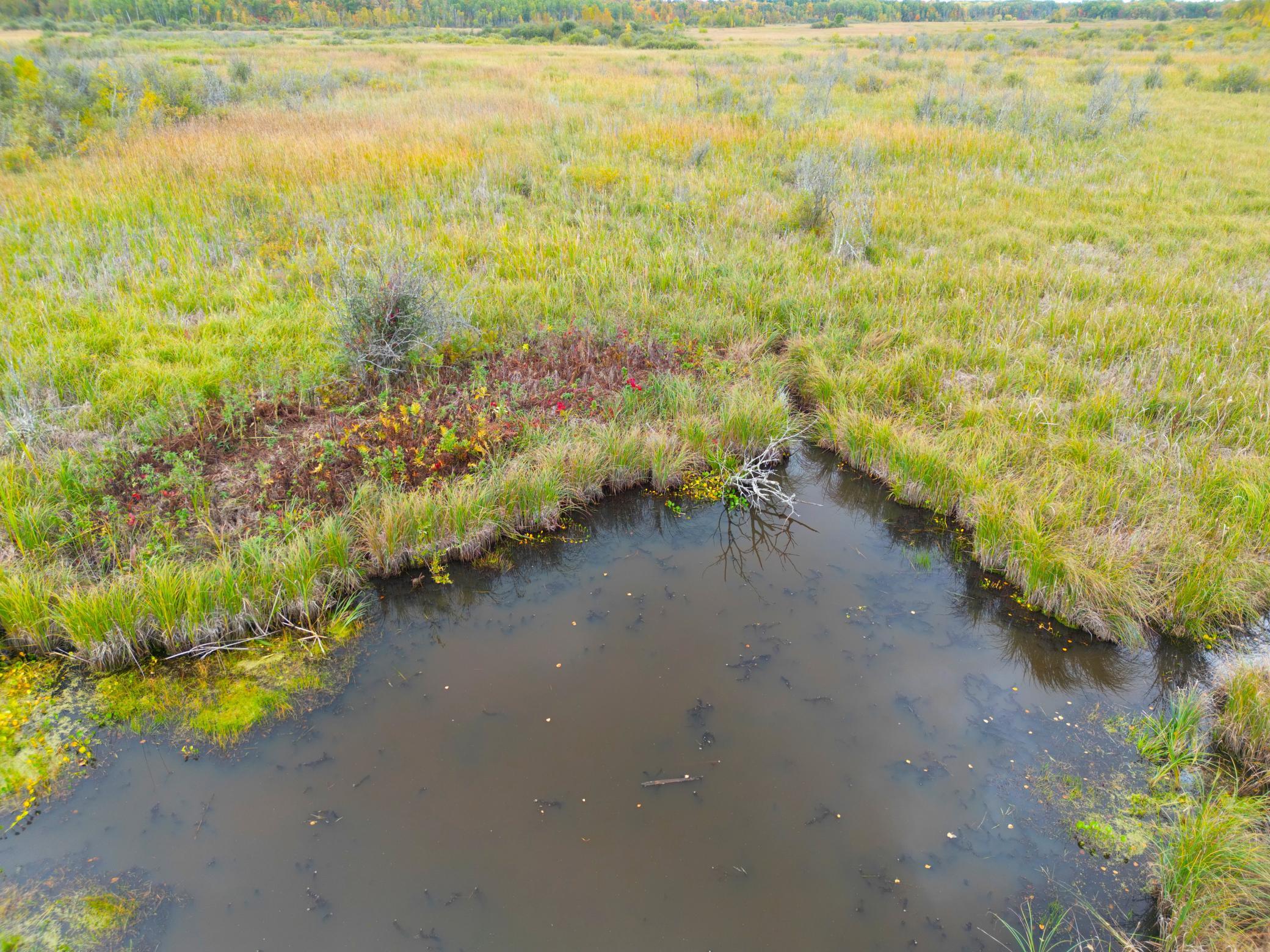 DJI_0343.JPG