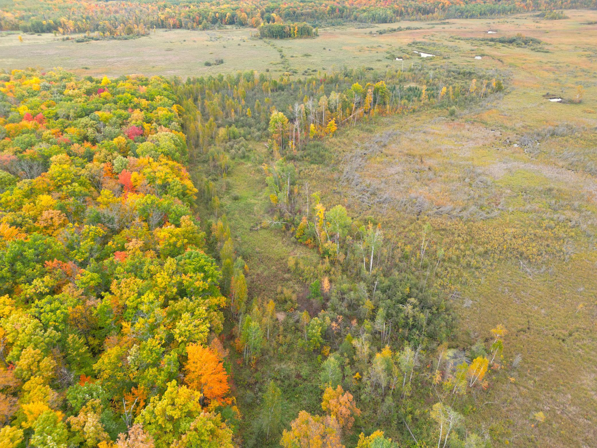DJI_0345.JPG