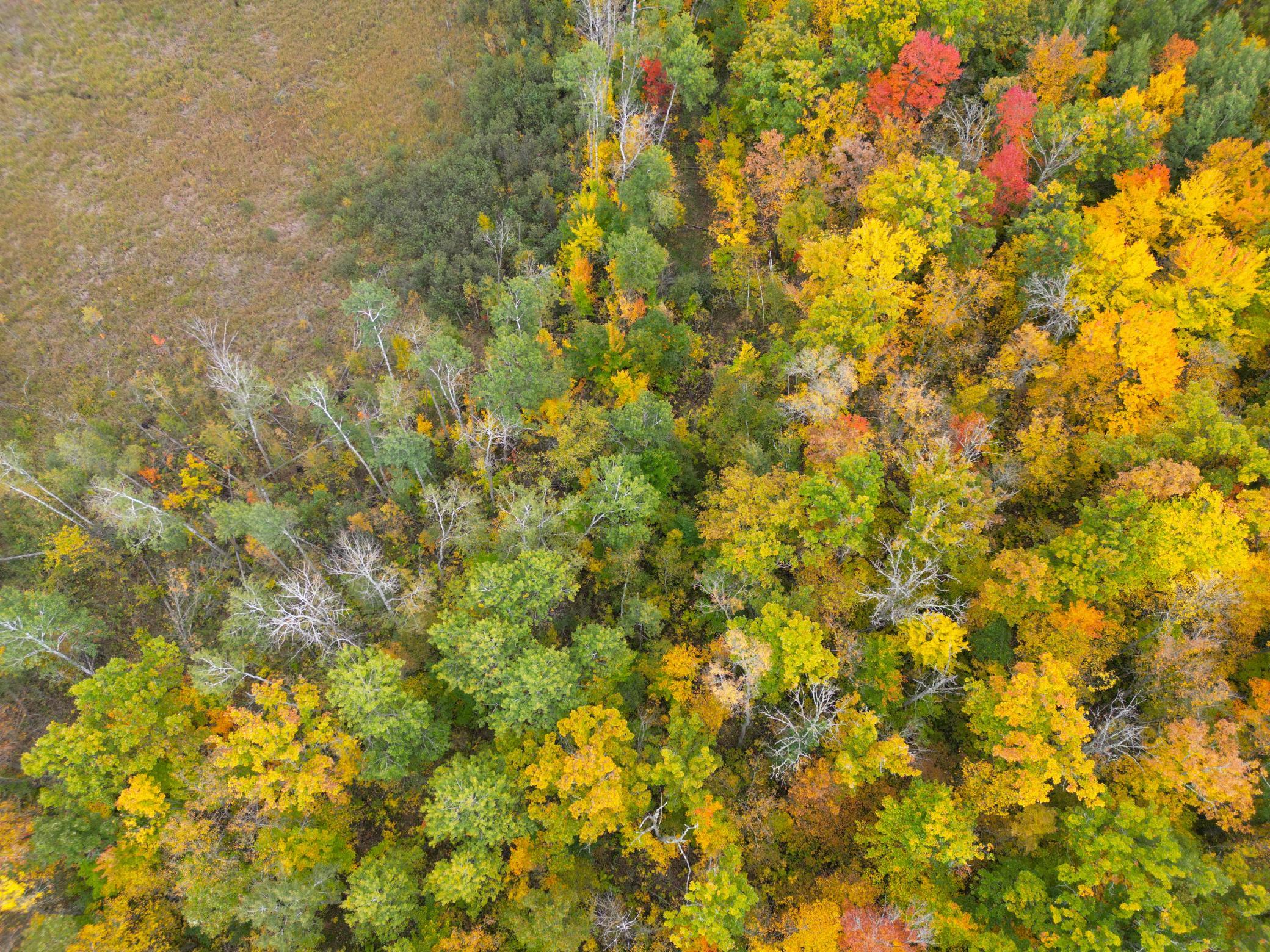 DJI_0344.JPG