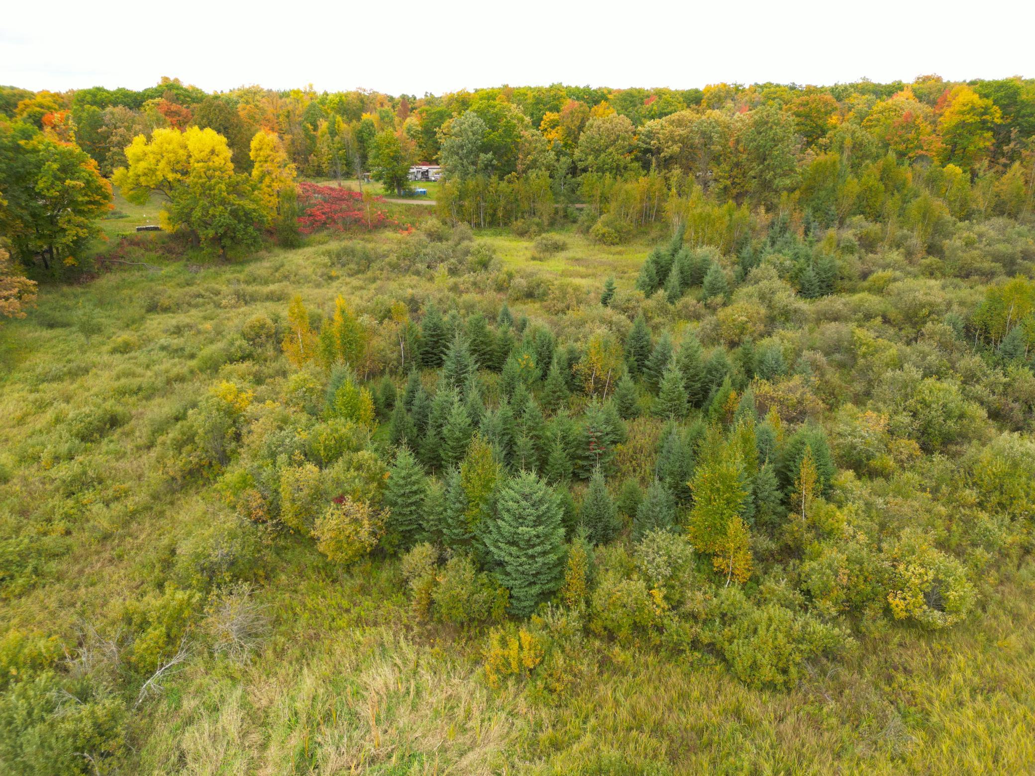 DJI_0349.JPG