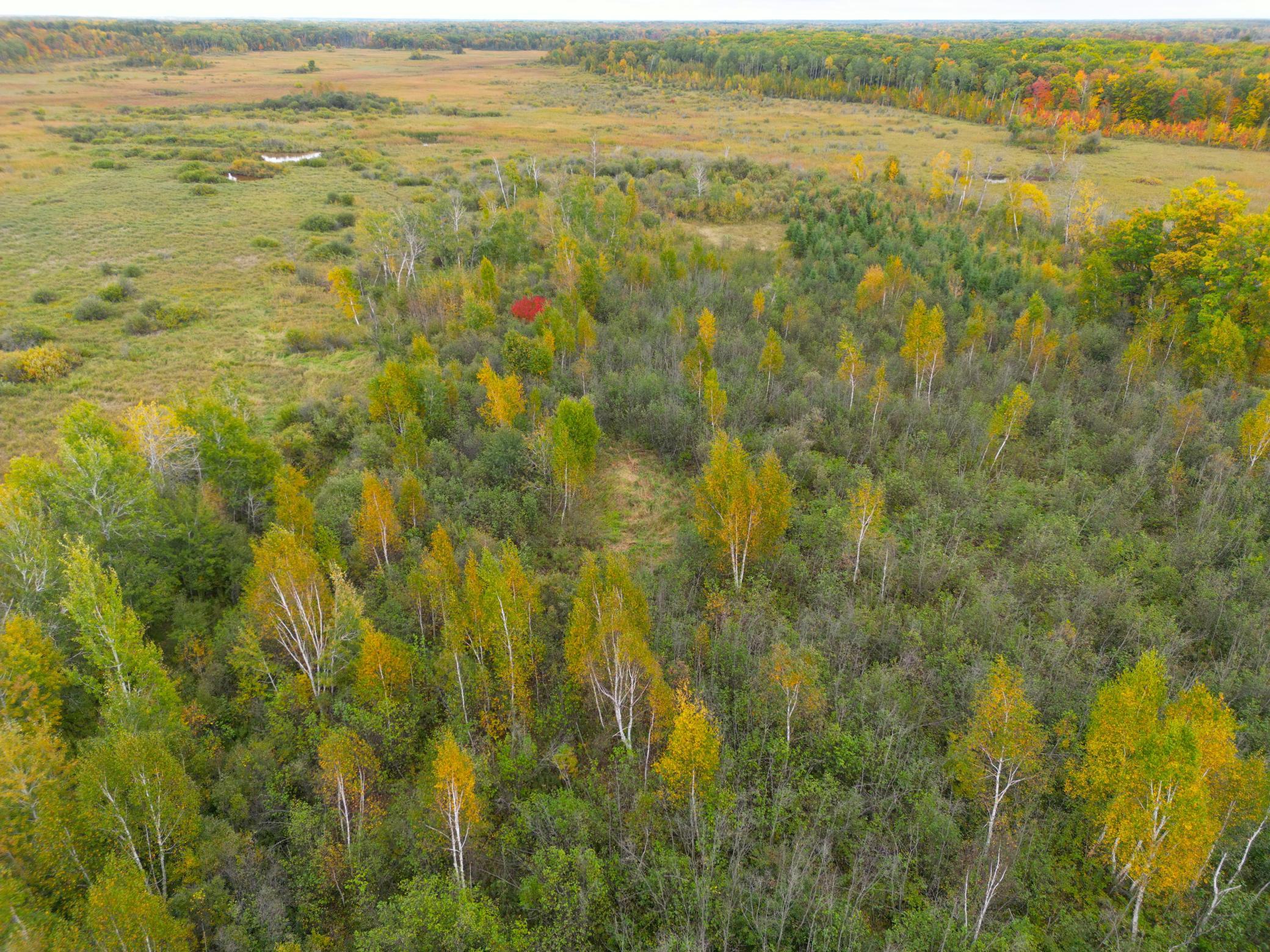 DJI_0347.JPG